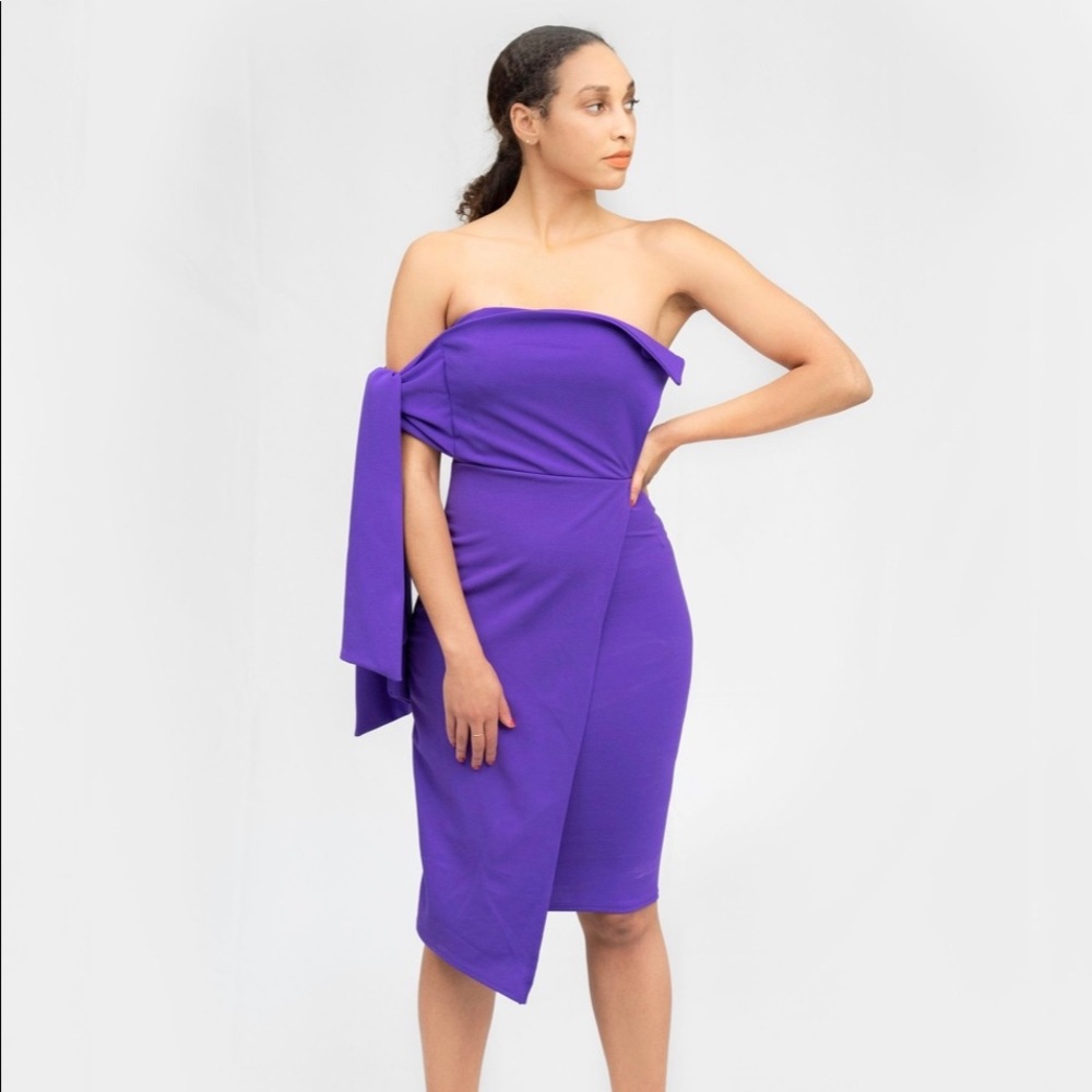 NWOT Beautiful Purple Dress